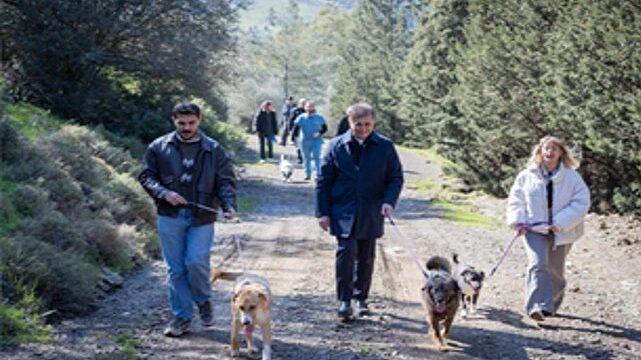 Barınaklardan 3 binin üzerinde hayvan sahiplendirildi