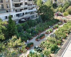 Başkan Güner Niyet Mektubunu İmzaladı