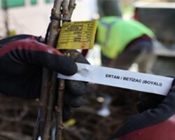 Beydağlı üreticiye çifte destek