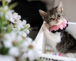 Buca Belediyesi ‘Zero’ için seferber oldu