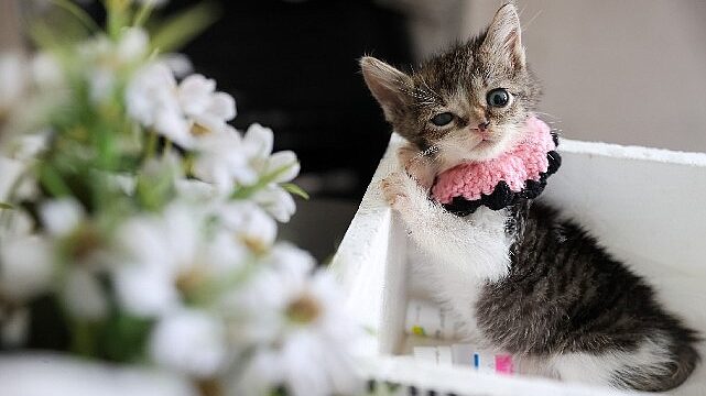 Buca Belediyesi ‘Zero’ için seferber oldu