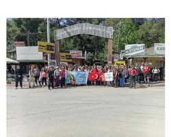 Büyükşehir Belediyesi’nden Turizm Haftası’na özel yürüyüş