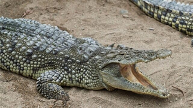 Büyükşehir’den çocuklara bayram hediyesi