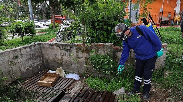 Büyükşehir’den sinek üreme alanlarında yoğun çalışma