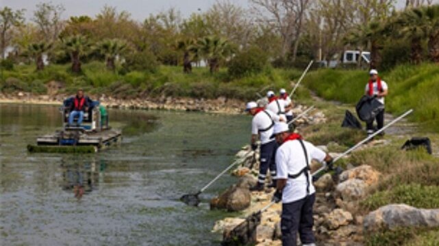 Çakalburnu Lagünü’nden Körfez’e yayılan yosunlara yoğun müdahale