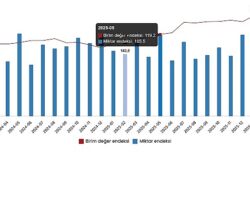Dış Ticaret Endeksleri, Şubat 2026