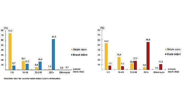 Girişim Özelliklerine Göre Uluslararası Hizmet Ticareti İstatistikleri, 2024
