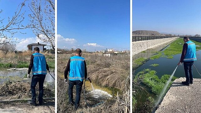 Haşereyle mücadele aralıksız sürüyor