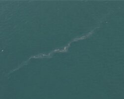 İzmir Körfezi’nde 13. dış kaynaklı kirlilik vakası