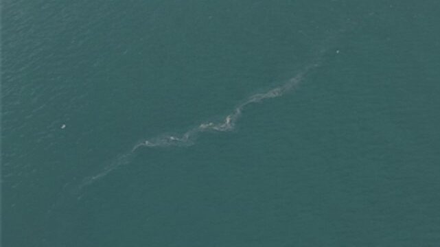 İzmir Körfezi’nde 13. dış kaynaklı kirlilik vakası