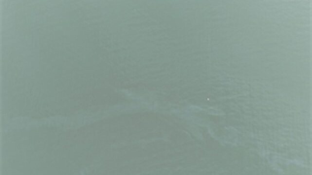 İzmir Körfezi’nde kirlilik alarmı: Aynı tehdit 11. kez görüldü