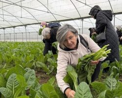 İzmit Saygınlar Kulübü 1 yaşında
