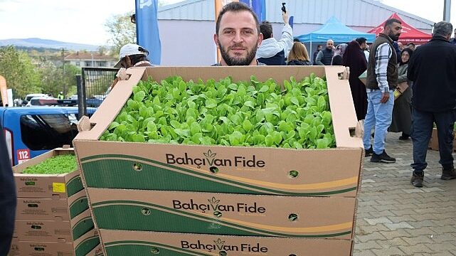 Kocaeli’de çiftçilere sebze fidesi desteği
