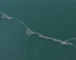 Körfez’de 12. kez dış kaynaklı kirlilik tespit edildi