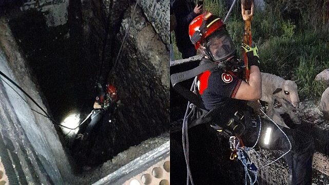 Kuyuya düşen kuzuya itfaiyeden nefes kesen kurtarma