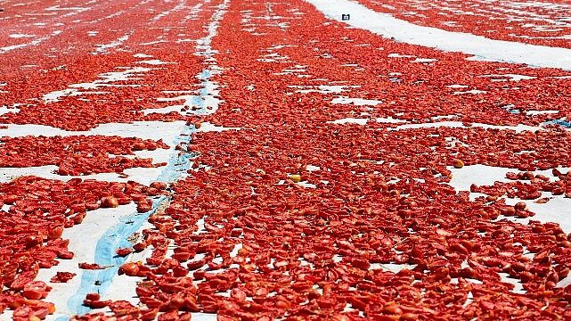 Meyve sebze mamulleri ihracatında aslan payı Ege Bölgesi’nin