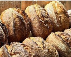 NADAS: Ayvacık Yeşilyurt’ta Sürdürülebilir Turizm, Geleneksel Üretim ve Gastronominin Yükselen Markası