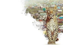 Nilgiri Dağlarını Keşfe Çıkaran   ‘Nilgiris: Mavi Dağların Hikayesi’,   22 Nisan Çarşamba 20.00’de   National Geographic WILD Ekranlarında!