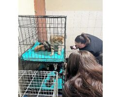 Patili dostlara anlamlı destek