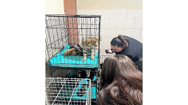 Patili dostlara anlamlı destek