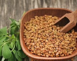 Prof. Dr. Nurhan Ünüsan; “Demirhindi, Bamya ve Çemen Otu, Mikroplastiklere Karşı Doğal Çözüm Sunuyor”