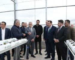 Soğucak Termal Serası’nda Üretim Başladı