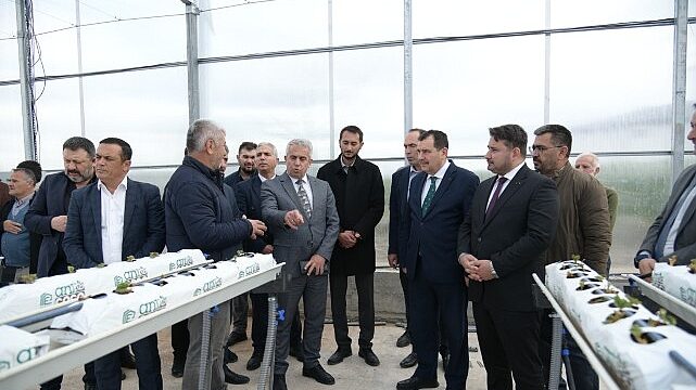 Soğucak Termal Serası’nda Üretim Başladı