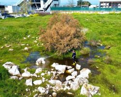 Torbalı Belediyesi’nden Halk Sağlığı İçin Seferberlik: Torbalı’da 12 Ay İlaçlama