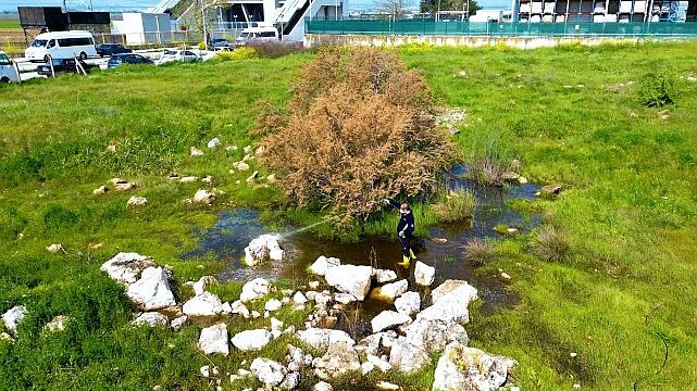 Torbalı Belediyesi’nden Halk Sağlığı İçin Seferberlik: Torbalı’da 12 Ay İlaçlama