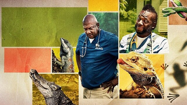 ‘Veteriner Dostlar Özel’,   25 Nisan Cumartesi 20.00 ve 21.00’de İki Bölüm Art Arda   National Geographic WILD Ekranlarında İzleyicilerle Buluşuyor!