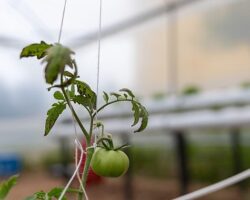 Yenişehir’den eğitime ‘Yeşil’ destek