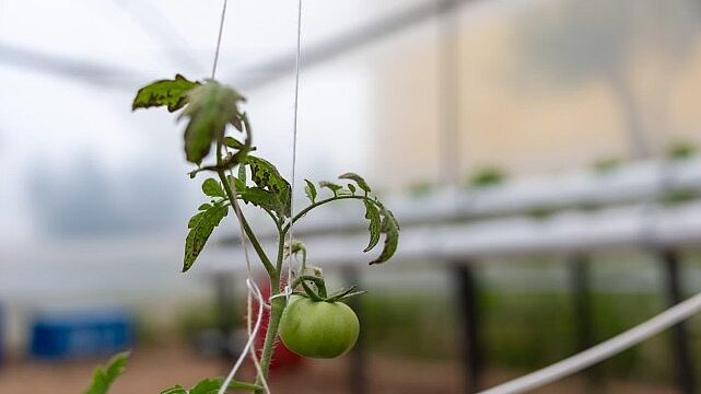 Yenişehir’den eğitime ‘Yeşil’ destek