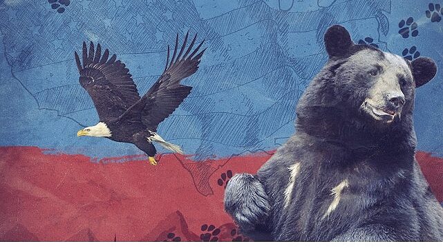 2 Bölümden Oluşan ‘Amerika’nın Hayvanları’,   24 Mayıs Pazar Saat 20.00’de  National Geographic WILD Ekranlarında Başlıyor!