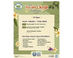 2.Zeytin Çiçeği Festivali Başlıyor