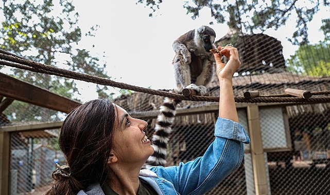 Antalya Doğal Yaşam Parkı’nda yavru lemur sevinci