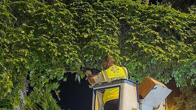 Başkan Çerçioğlu: Aydınımız İçin Gece Gündüz Çalışmaya Devam Ediyoruz