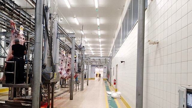 Büyükşehir Mezbahası’nda kurban kesim işlemi tamam