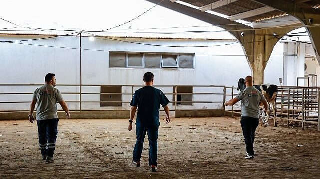 Büyükşehir’in kurban yakalama timi göreve hazır