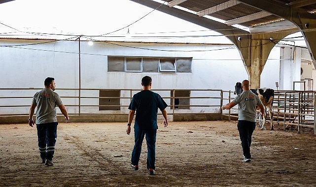 Büyükşehir’in kurban yakalama timi göreve hazır