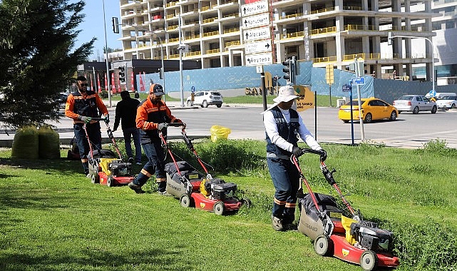 Çankaya Parklarında Çim Biçme Çalışması