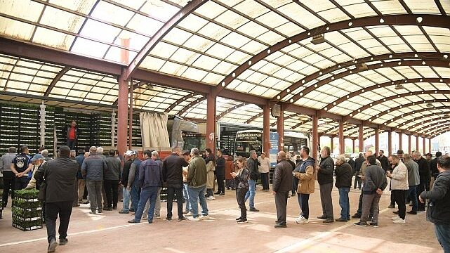 Kahramankazanlı Çiftçilere Fide Desteği Verildi