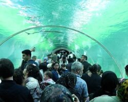 Keçiören’de Bayram Coşkusu Dolu Dolu Yaşandı