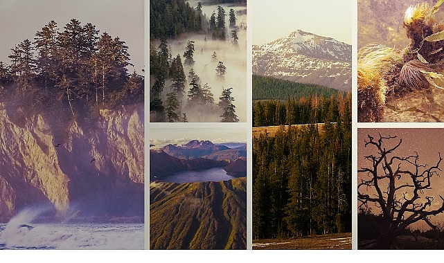 ‘Ulusal Parklar: Amerika Özel’,   3 Mayıs Pazar Saat 20.00’de  National Geographic WILD Ekranlarında İzleyicilerle Buluşuyor!