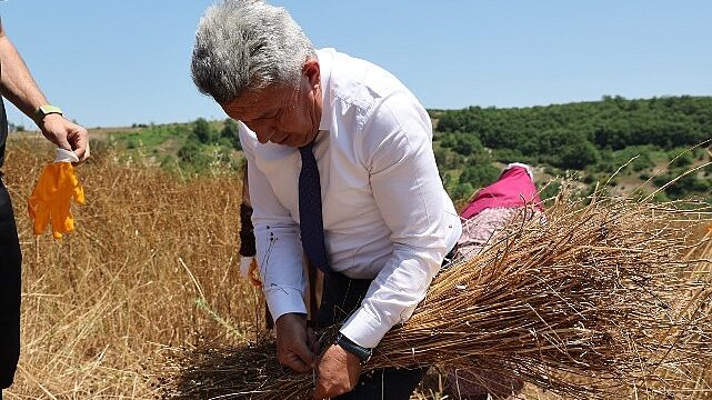 40 Yıl Aradan Sonra Kandıra’da Keten Üretimi Yeniden Başladı