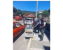 Başıbüyük Mahallesi’nde işgallere karşı denetim