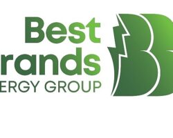 Best Brands Grup Enerji, 9 ilde 14 araç muayene istasyonunun işletmesini üstlenecek