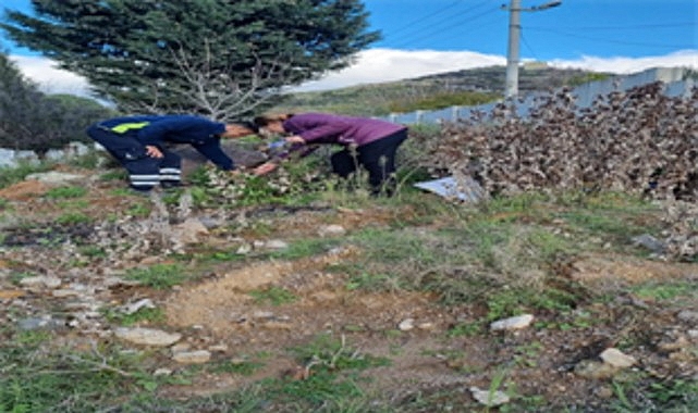 Büyükşehir tasarrufta rekor kırdı