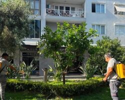 Büyükşehir’den Kemer Liman Caddesi’nde bakım onarım çalışması