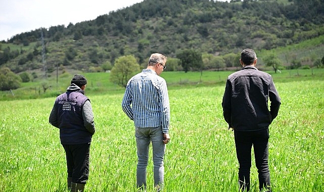 Büyükşehir’in Toprakla Buluşan Tohumları Yeşerdi