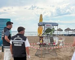 Didim Belediyesi Ekiplerinin Zamanında Müdahalesi Caretta Carettayı Kurtardı